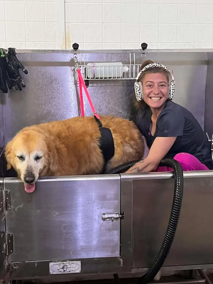 Freshly bathed, styled, and ready for cuddles.