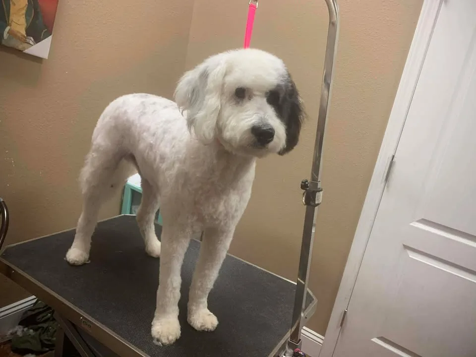 A clean, low-maintenance trim with a polished finish.